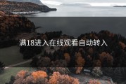满18进入在线观看自动转入
