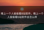 晚上一个人偷偷看B站软件，晚上一个人偷偷看b站软件会怎么样