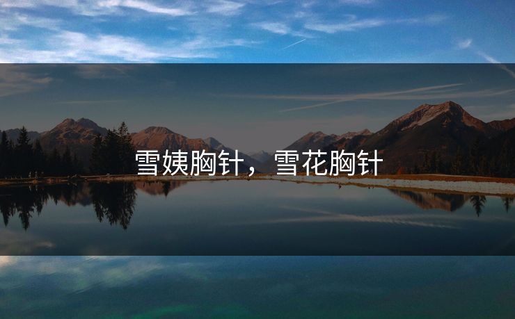 雪姨胸针，雪花胸针