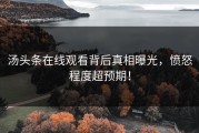 汤头条在线观看背后真相曝光，愤怒程度超预期！