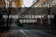 汤头条网站入口背后真相曝光，愤怒程度超预期！