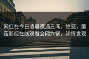 网红在今日凌晨遭遇丑闻，愤怒，蘑菇影视在线观看全网炸锅，详情发现