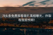 汤头条免费观看背后真相曝光，炸裂程度超预期！
