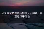 汤头条免费观看话题爆了，网友：简直意难平现场