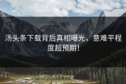汤头条下载背后真相曝光，意难平程度超预期！