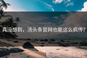 真没想到，汤头条官网也能这么疯传？