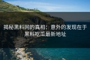 揭秘黑料网的真相：意外的发现在于黑料吃瓜最新地址