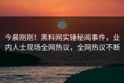今晨刚刚！黑料网实锤秘闻事件，业内人士现场全网热议，全网热议不断