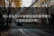 汤头条永久VIP破解版背后真相曝光，出圈程度超预期！