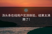 汤头条在线用户实测体验，结果太沸腾了！