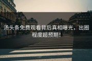 汤头条免费观看背后真相曝光，出圈程度超预期！