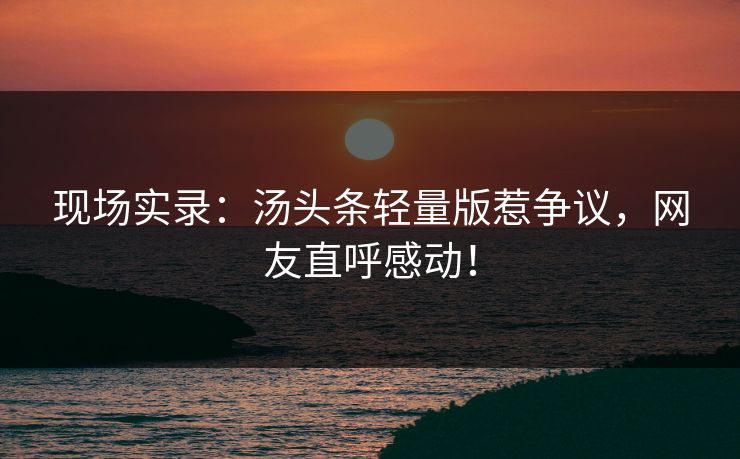 现场实录：汤头条轻量版惹争议，网友直呼感动！