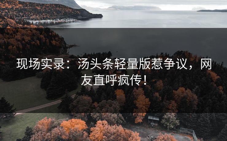 现场实录：汤头条轻量版惹争议，网友直呼疯传！
