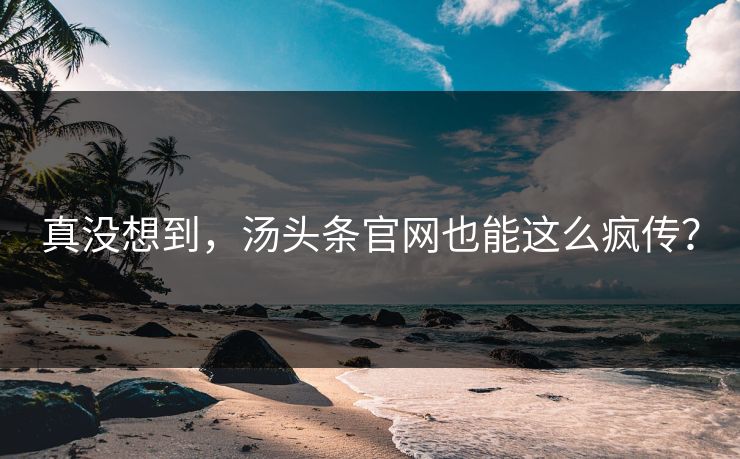 真没想到，汤头条官网也能这么疯传？