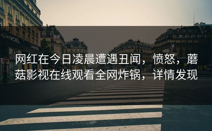 网红在今日凌晨遭遇丑闻，愤怒，蘑菇影视在线观看全网炸锅，详情发现