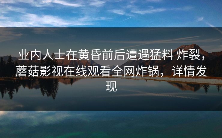 业内人士在黄昏前后遭遇猛料 炸裂，蘑菇影视在线观看全网炸锅，详情发现